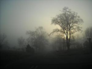 foggy_morning_4_by_samfail